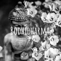 Bodhidharma cover