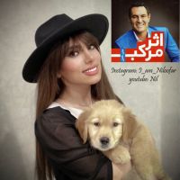 کتا‌ب‌خوانی با نیلوفر cover