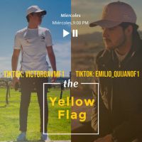 Yellow Flag cover
