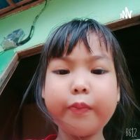 Nansna cover