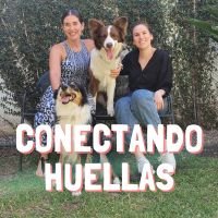 CONECTANDO HUELLAS cover