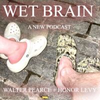 Wet Brain cover