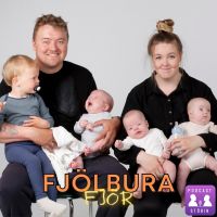 Fjölburafjör cover