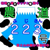 農道２２３号（ふじさんごう） cover