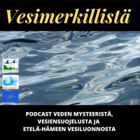 Vesimerkillistä cover