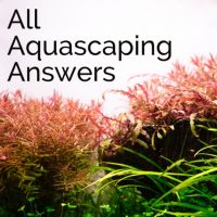 AAA - All Aquascaping Answers cover