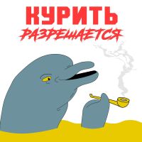 Курить Разрешается cover