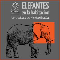 Elefantes en la habitación cover