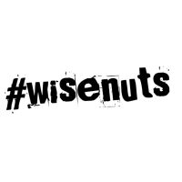 WiseNuts Podcast cover