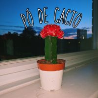 PóDeCacto cover