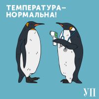 Температура – нормальна cover