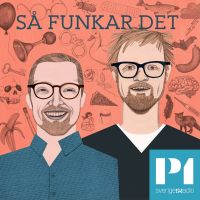 Så funkar det cover