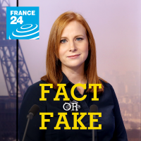 Fact or Fake cover