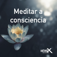 Meditar a consciencia cover