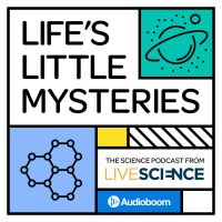 Life's Little Mysteries cover