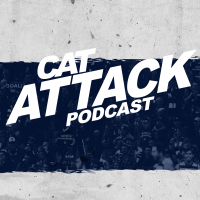Cat Attack cover