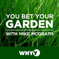You Bet Your Garden cover