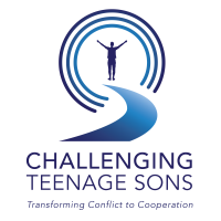 Challenging Teenage Sons cover