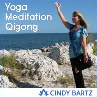 Yoga, Meditation & Qigong cover