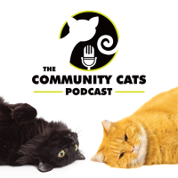 The Community Cats Podcast cover