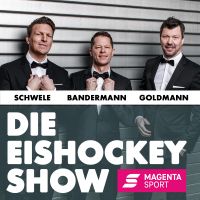 Die Eishockey Show cover