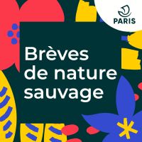 Brèves de Nature Sauvage cover