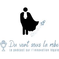 Du Vent Sous La Robe cover