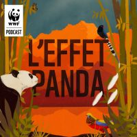 L'Effet Panda cover