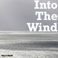 Into The Wind cover