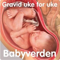 Gravid uke for uke cover