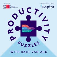 Productivity Puzzles cover