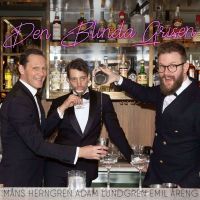 Den blinda grisen cover