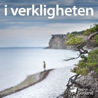 i verkligheten cover