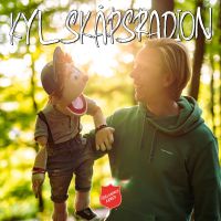 Kylskåpsradion cover
