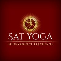 Spiritual Teachings With Shunyamurti cover