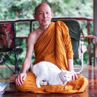 Luangpor Paisal Visalo‘s Podcast (ธรรมะ จาก หลวงพ่อไพศาล วิสาโล) cover