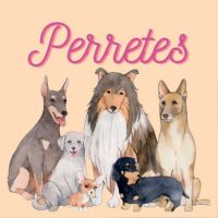 Perretes | Las razas de perros cover