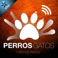 Perros, Gatos y Bichos Raros cover