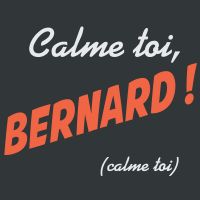 Calme toi, Bernard ! cover