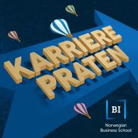 Karrierepraten cover