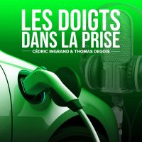 Les Doigts Dans La Prise cover