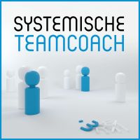 Systemische Teamcoach cover