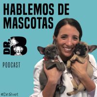Hablemos de Mascotas con Dr.B Vet cover