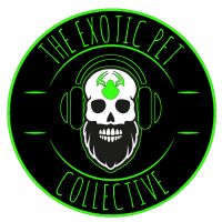 The Exotic Pet Collective cover
