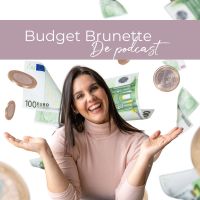 Budget Brunette cover