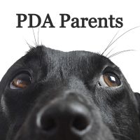 PDA Parents cover