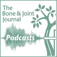 BJJ Podcasts cover