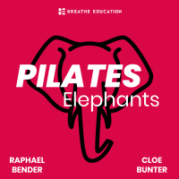 Pilates Elephants cover