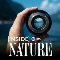 Inside NATURE on PBS cover