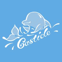 Casticle cover